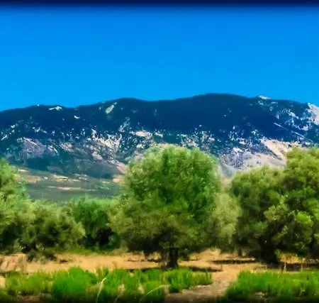Villa Androniki *